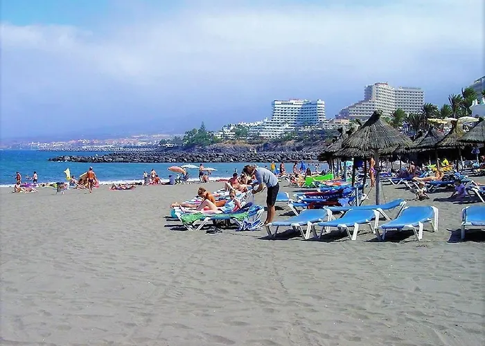 Americas Blue Yosea *