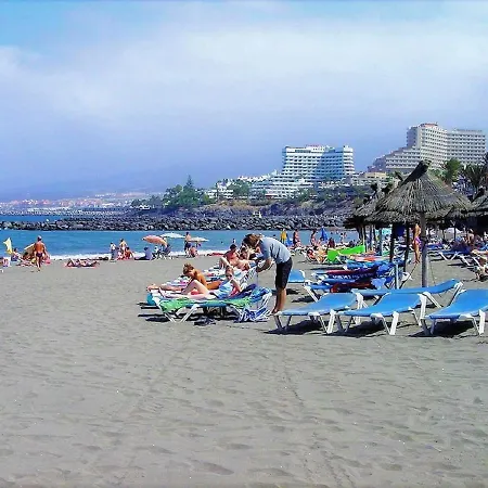 Americas Blue Yosea *